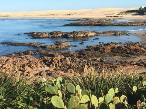 Cromarty Cottage 900m From Birubi Beach - Nambucca Heads Accommodation 4