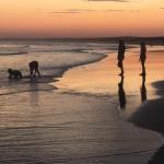 Cromarty Cottage 900m From Birubi Beach - Nambucca Heads Accommodation 0