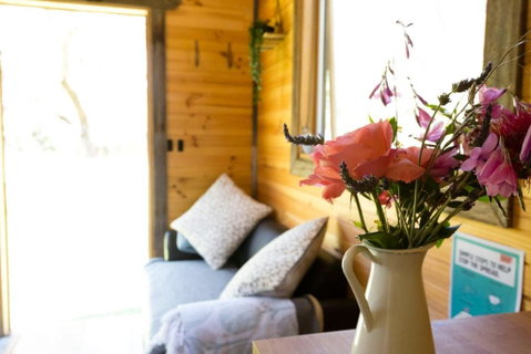 Ardingly Tiny House - Nambucca Heads Accommodation 5