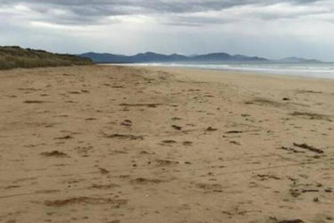 The Vibe Sandy Point - Nambucca Heads Accommodation 4