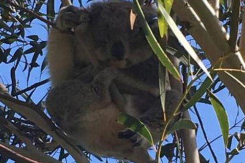 The Vibe Sandy Point - Nambucca Heads Accommodation 6