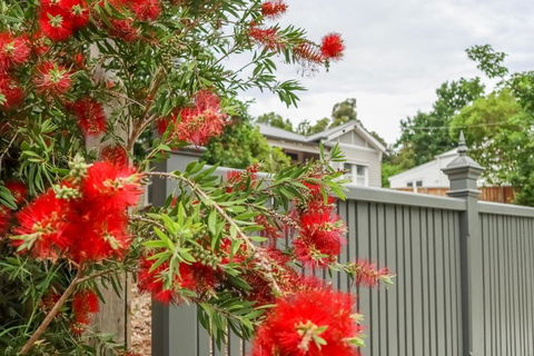 Vintage Charm On St. Leonards - Nambucca Heads Accommodation 5