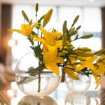 KUI Manhattan Apartments - Nambucca Heads Accommodation 0