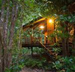 Wildwood - Nambucca Heads Accommodation