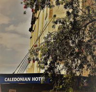 Caledonian Hotel - Nambucca Heads Accommodation