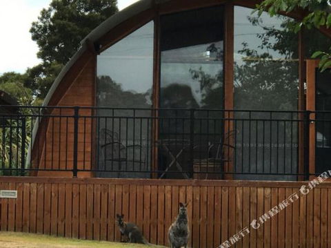 Bruny Island Accommodation 43 Degrees Beachside Studio Spa Apartments (1) - Nambucca Heads Accommodation 1