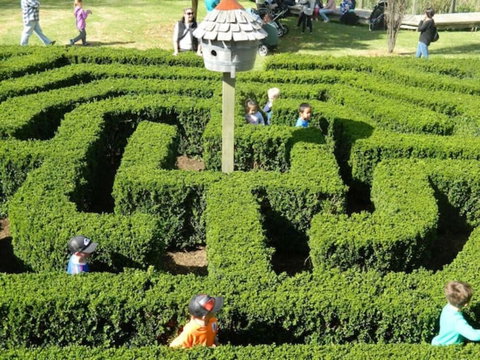 Home Near Shops & Beach - Nambucca Heads Accommodation 6