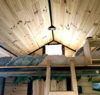 Big Tiny Dale View Tiny House - Nambucca Heads Accommodation