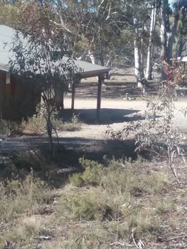 Gooandra Alpine Cabins - Nambucca Heads Accommodation 1