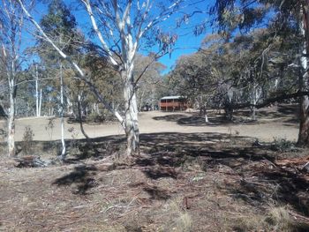 Gooandra Alpine Cabins - Nambucca Heads Accommodation 6