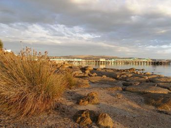 Port Lincoln Holiday Houses - Nambucca Heads Accommodation 4