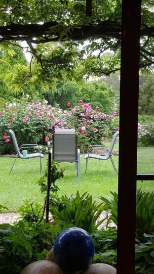 Wisteria Lodge - Nambucca Heads Accommodation 5