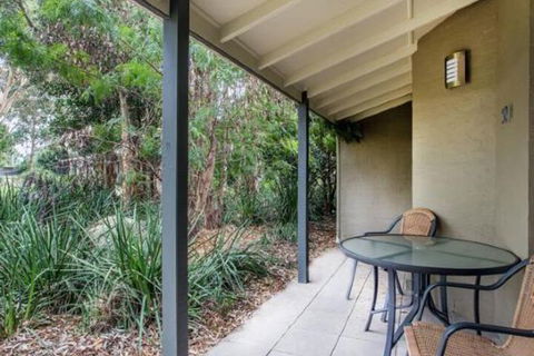 Port Stephens Koala Sanctuary - Nambucca Heads Accommodation 5