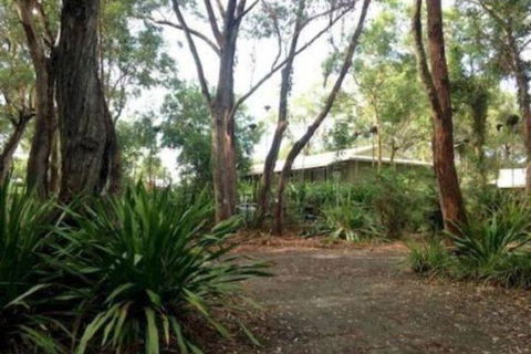 Port Stephens Koala Sanctuary - Nambucca Heads Accommodation 2