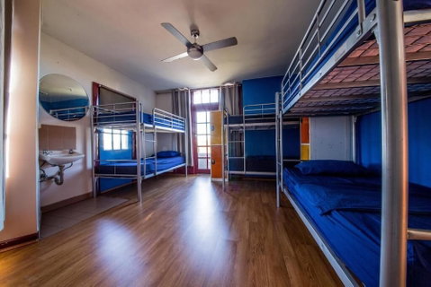 Mad Monkey Backpackers Bayswater - Nambucca Heads Accommodation 5