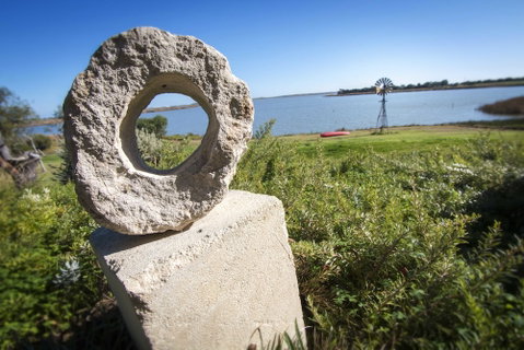 Jury Road Orchard - Nambucca Heads Accommodation 3