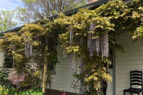 Clarence Cottage - Nambucca Heads Accommodation 0