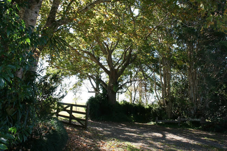Sunshine Coast Hinterland QLD Nambucca Heads Accommodation