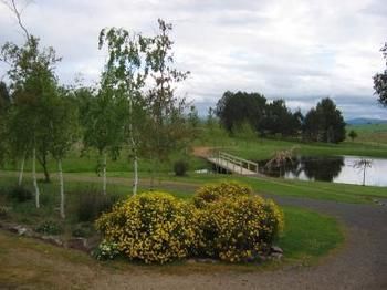 Buttercup Cottage & Private Apartment - Nambucca Heads Accommodation 3