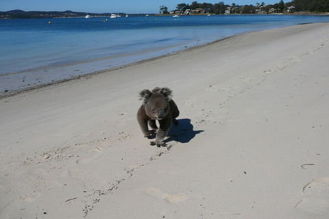 The Mitchells Waterfront Bed & Breakfast - Nambucca Heads Accommodation 7