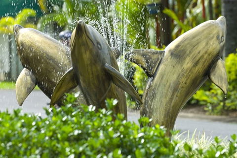Cairns Coconut Holiday Resort - Nambucca Heads Accommodation 1