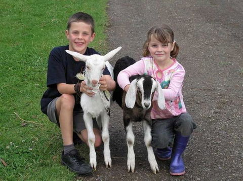 Honeycomb Valley Farm - Nambucca Heads Accommodation 1