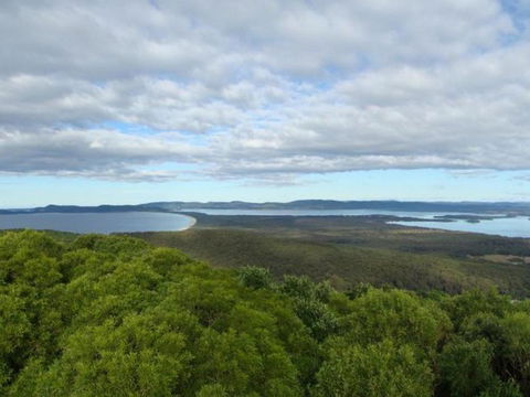 Honeycomb Valley Farm - Nambucca Heads Accommodation 4
