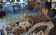 Bremer Island Banubanu Beach Retreat - thumb 5