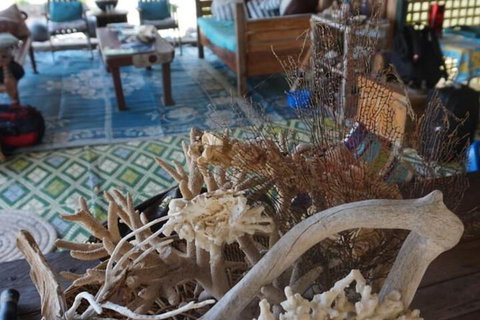Bremer Island Banubanu Beach Retreat - Nambucca Heads Accommodation 5