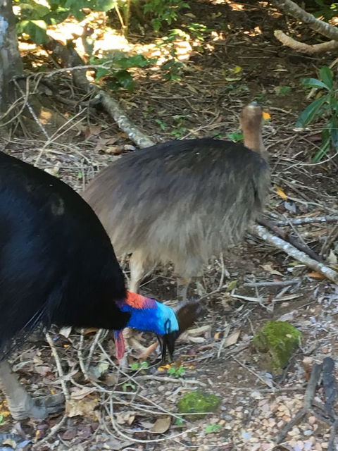 Licuala Lodge - Nambucca Heads Accommodation 1