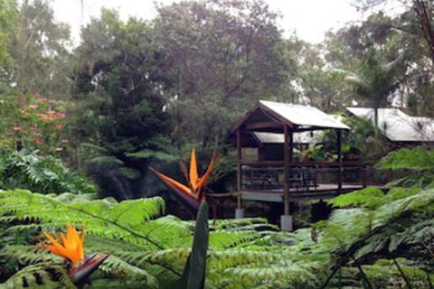 The Oasis At One Mile Beach - Nambucca Heads Accommodation 2