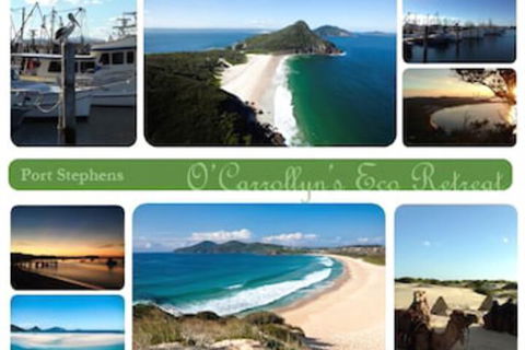 The Oasis At One Mile Beach - Nambucca Heads Accommodation 5