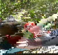 Lorne Bush House Cottages  Eco Retreats - Nambucca Heads Accommodation