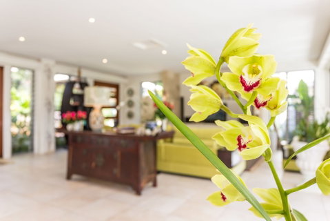 Alaya Verde - Nambucca Heads Accommodation 1