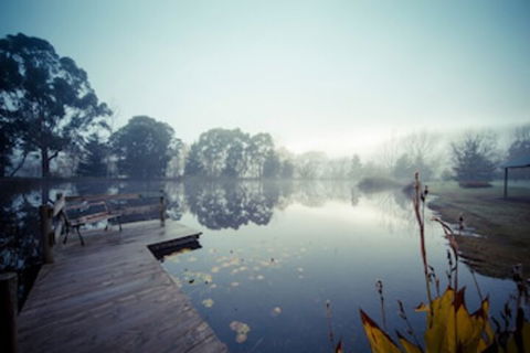 Sanctuary Park Cottages - Nambucca Heads Accommodation 0