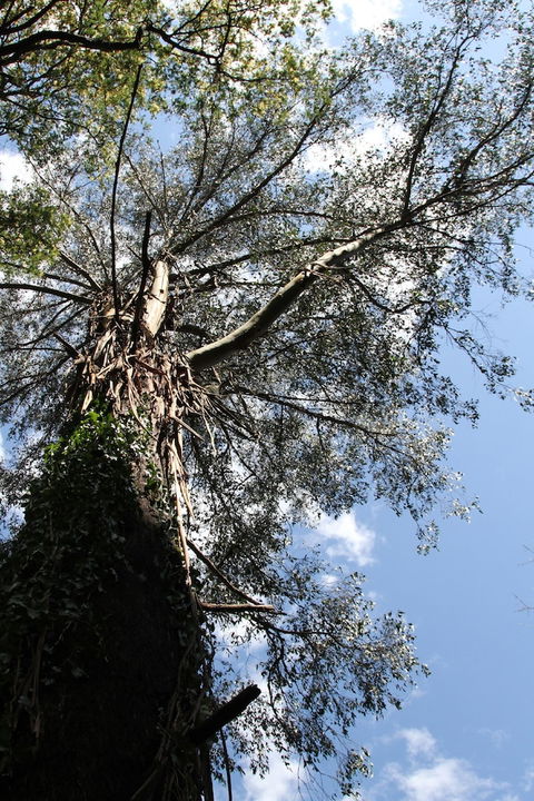 Gatehouse Cottage At Merrow Cottages - Mt Dandenong - Nambucca Heads Accommodation 4