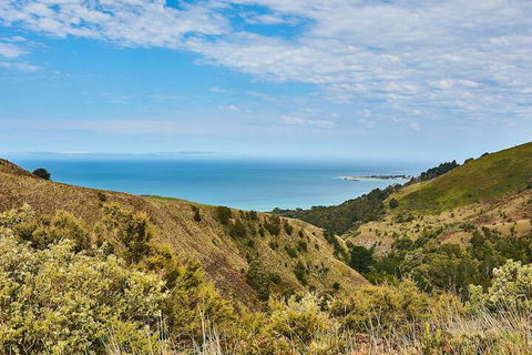 Great Ocean Walk Retreat - Nambucca Heads Accommodation 2