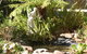 Tara House Bed & Breakfast - thumb 3