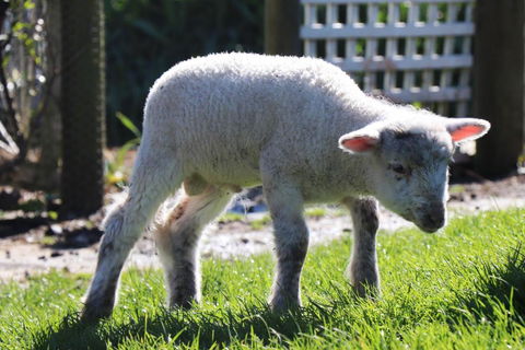 Johanna River Farm & Cottages - Nambucca Heads Accommodation 2