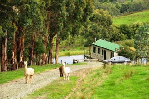 Johanna River Farm & Cottages - Nambucca Heads Accommodation 5