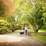 Johanna River Farm & Cottages - Nambucca Heads Accommodation 0