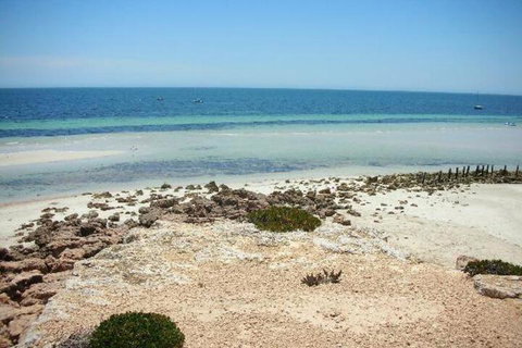 Amelia S Bed & Breakfast - Nambucca Heads Accommodation 4