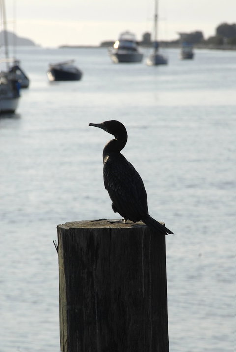 Mariners On The Waterfront - Nambucca Heads Accommodation 3