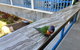 Mariners On The Waterfront - thumb 5
