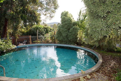 Holly Lane Mews - Nambucca Heads Accommodation 5