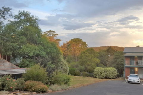 Hepburn Springs Motor Inn - Nambucca Heads Accommodation 4