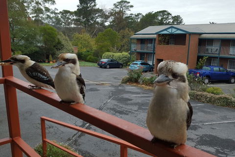 Hepburn Springs Motor Inn - Nambucca Heads Accommodation 6