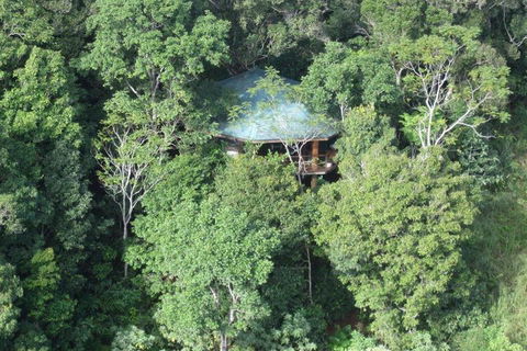 Mt Quincan Crater Retreat - Nambucca Heads Accommodation 6