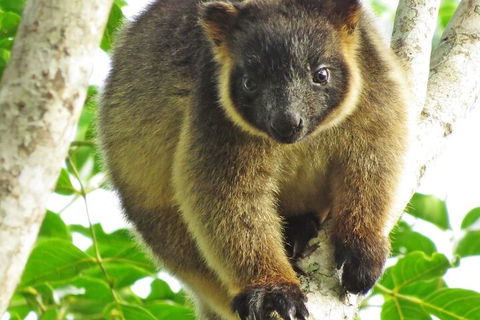 Mt Quincan Crater Retreat - Nambucca Heads Accommodation 2