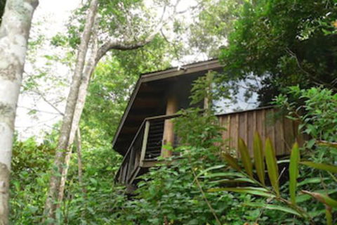 Mt Quincan Crater Retreat - Nambucca Heads Accommodation 5